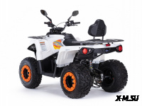 Квадроцикл MOTAX ATV Grizlik 200 Ultra