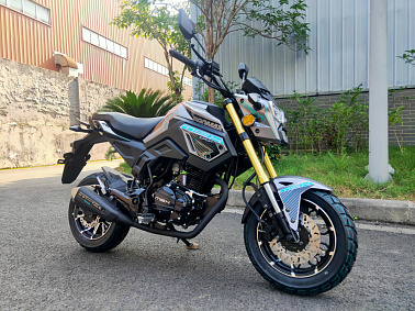 Мотоцикл PROMAX MSX200 CROM (49)