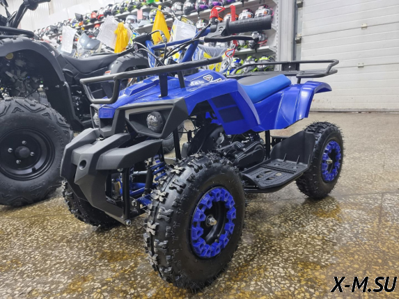 Квадроцикл PROMAX ATV MINI 2T 50CC р/с