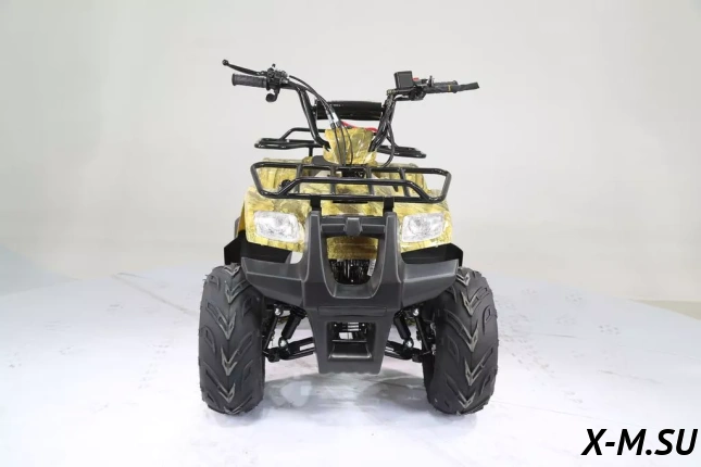 Квадроцикл MOTOLAND (МОТОЛЕНД) 110 RIDER