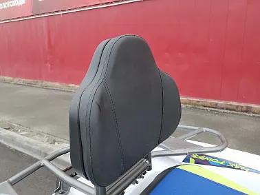 Квадроцикл PROMAX RENEGADE 280 LUX